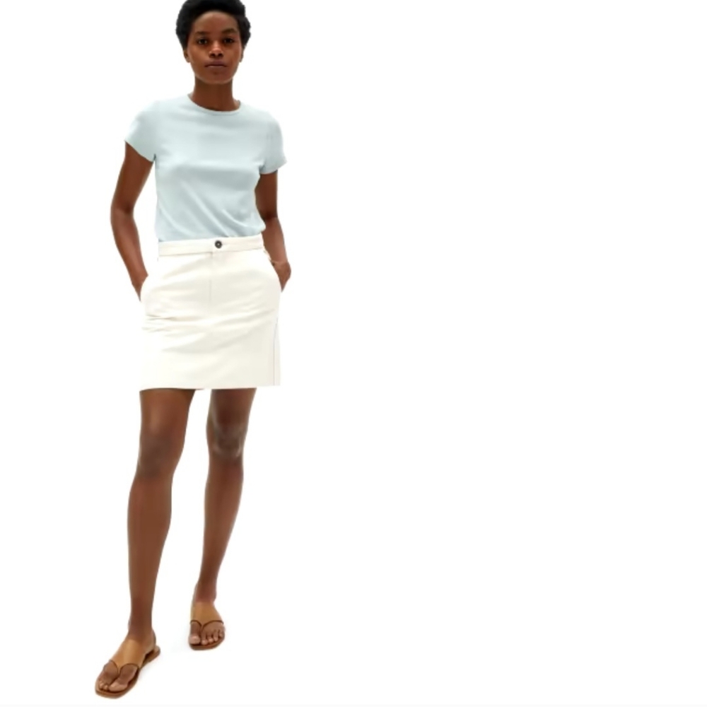 Everlane Mini Skirt